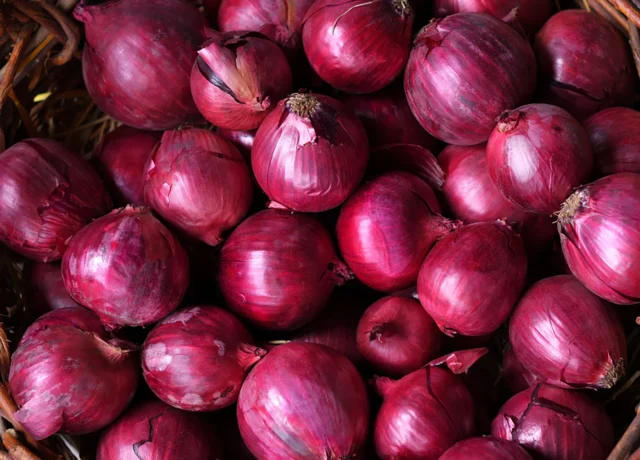 oignon rouge au coin du marche