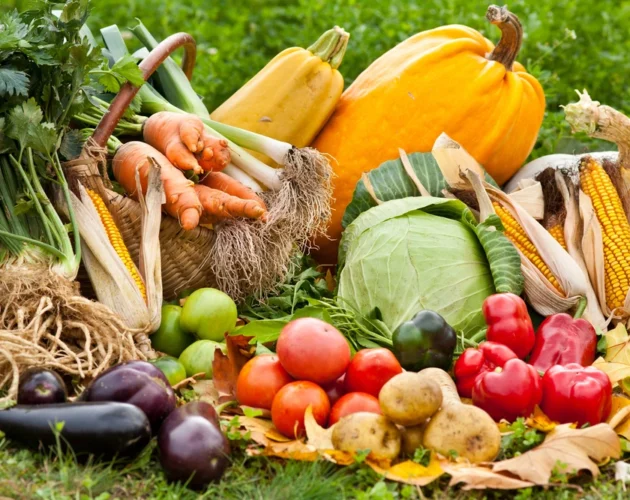 panier de légumes